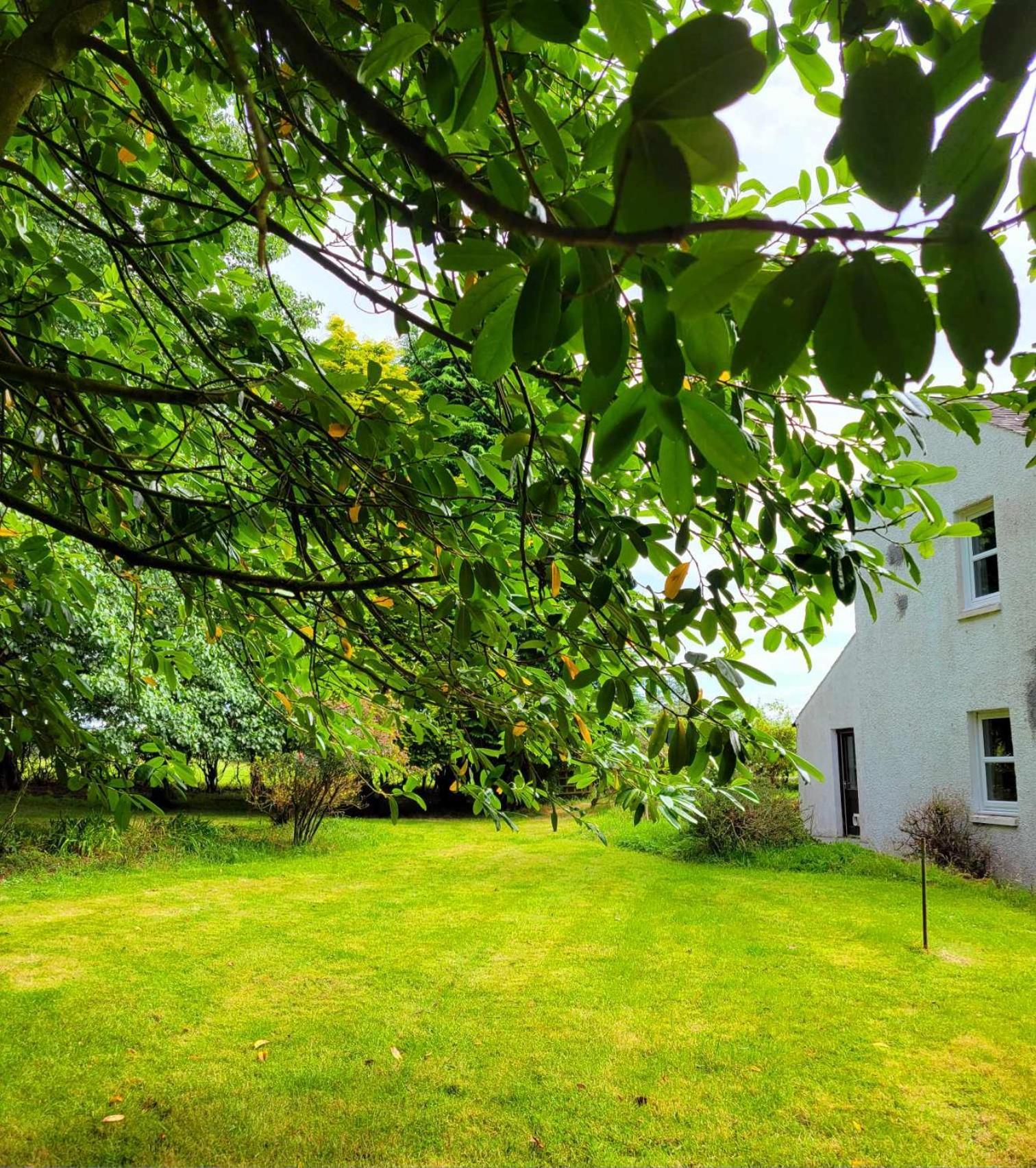 Large Country House With Garden, Outdoor Spa Area & Games Room With Hot Tub And Fire Pit Wigtown Eksteriør billede